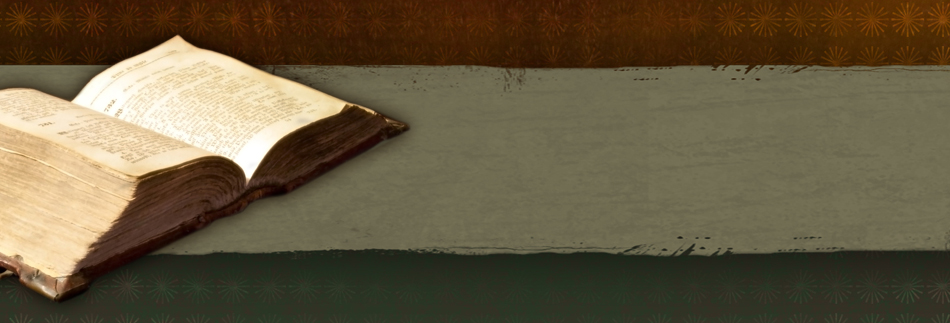 Open Bible Website Banner